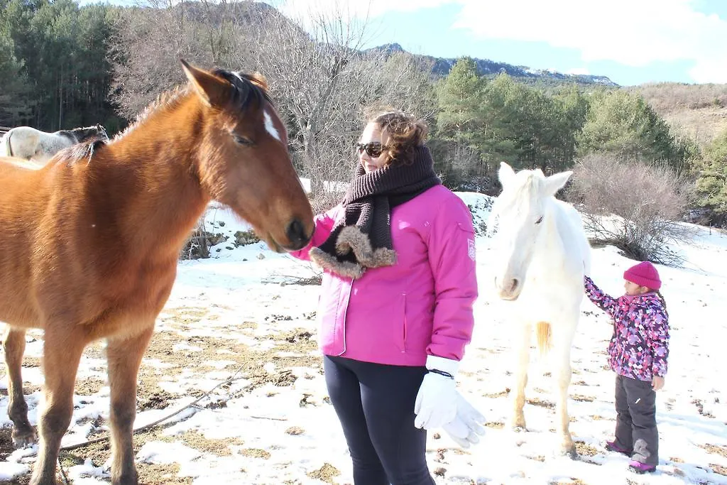 Ca L'Agustinet Guest House Vallcebre Country house